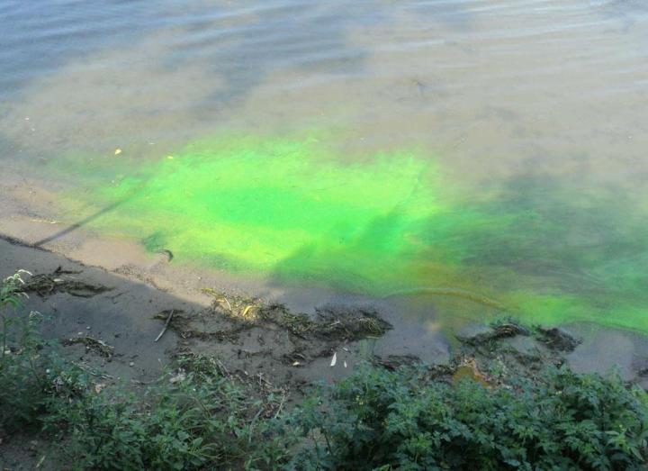 Vérification et inspection des fosses septiques Laval